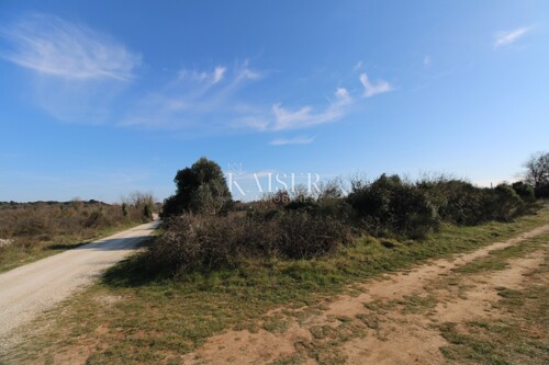 Thumbnail 6321759 - 10
