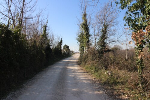 Thumbnail 6321759 - 9