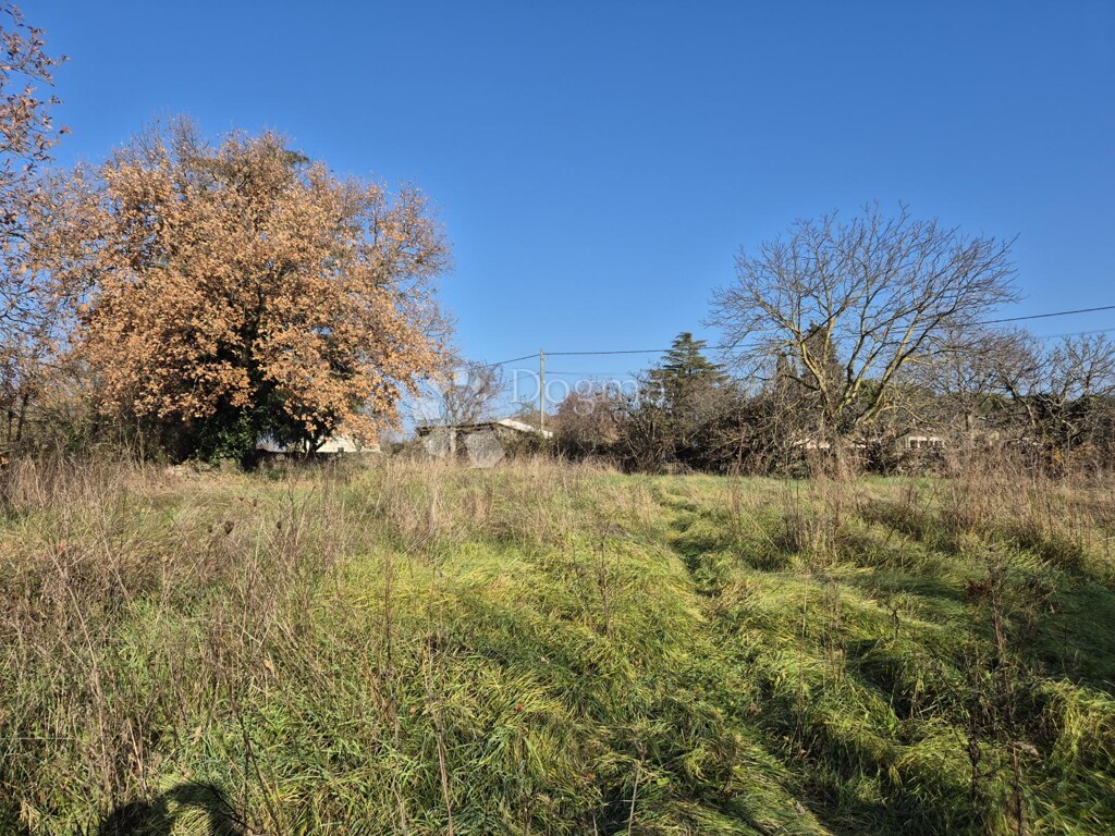 Image 6322116 - 4