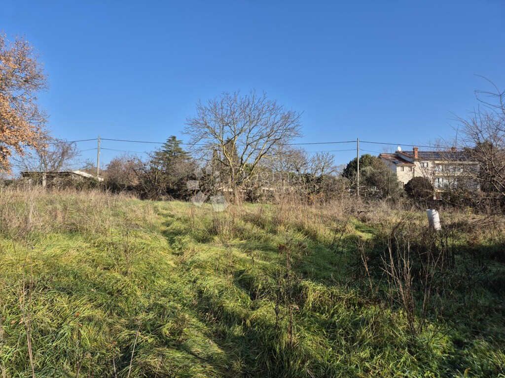 Image 6322116 - 1