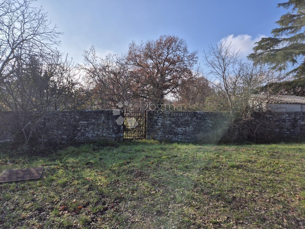 Image 6322117 - 2