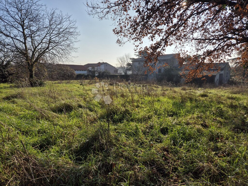 Image 6322117 - 10