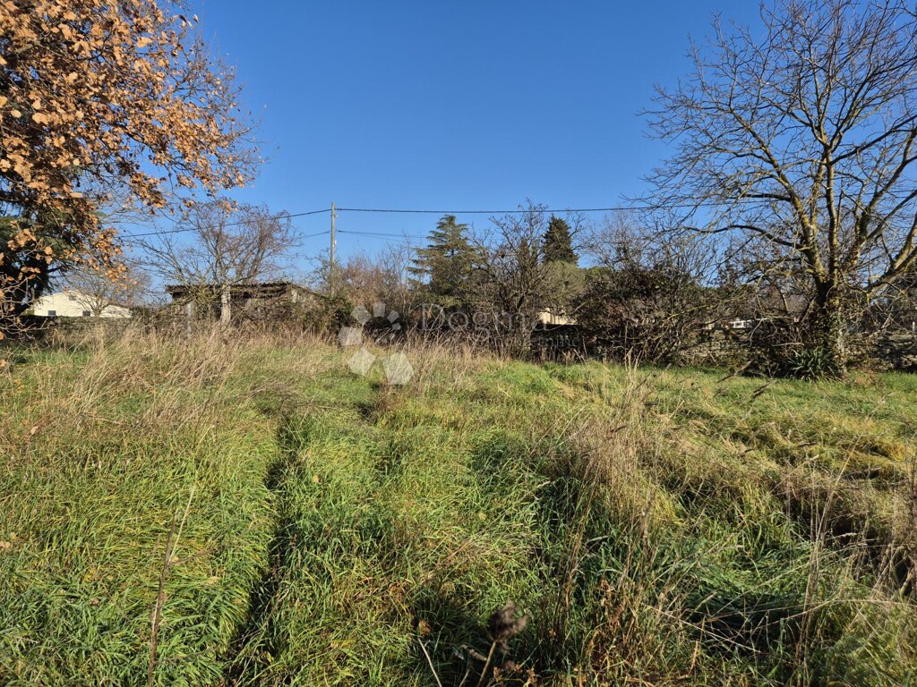 Image 6322117 - 8