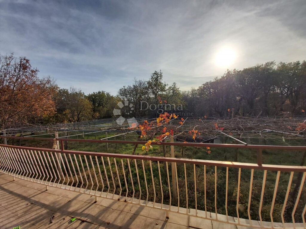 Image 6322119 - 15