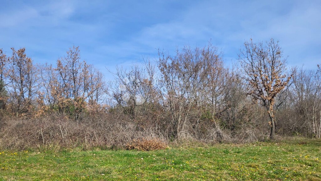 Image 6322122 - 1