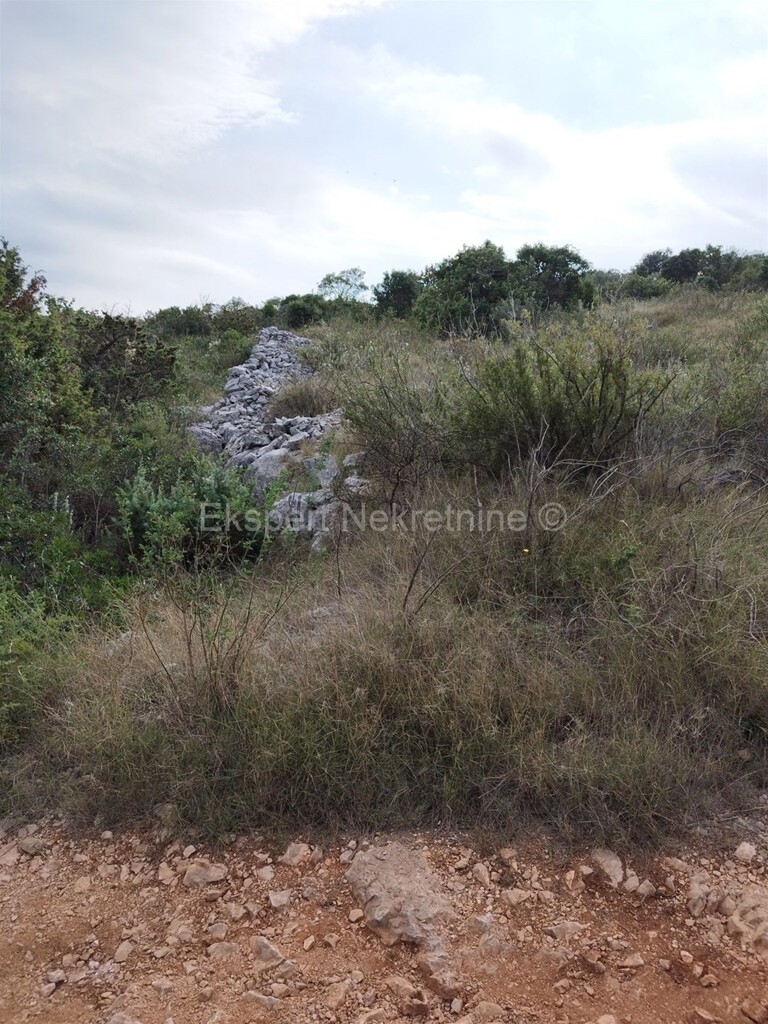 Image 6322164 - 1