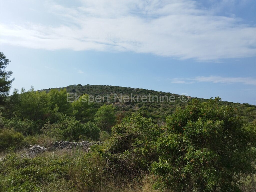 Image 6322165 - 2
