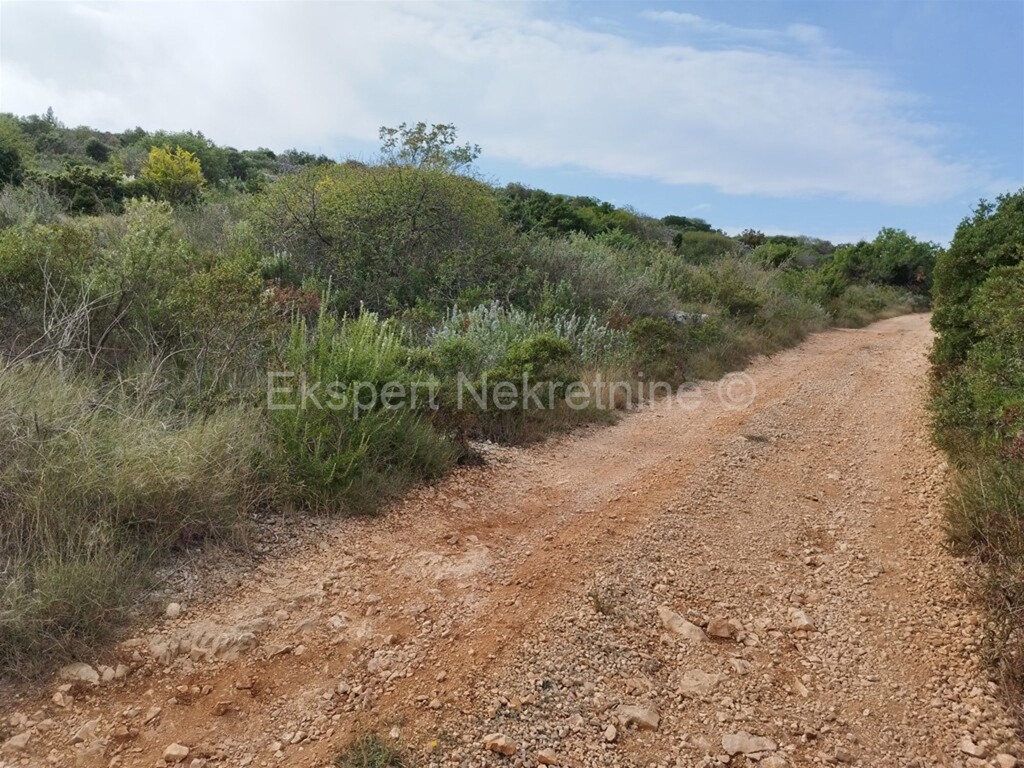 Image 6322166 - 1