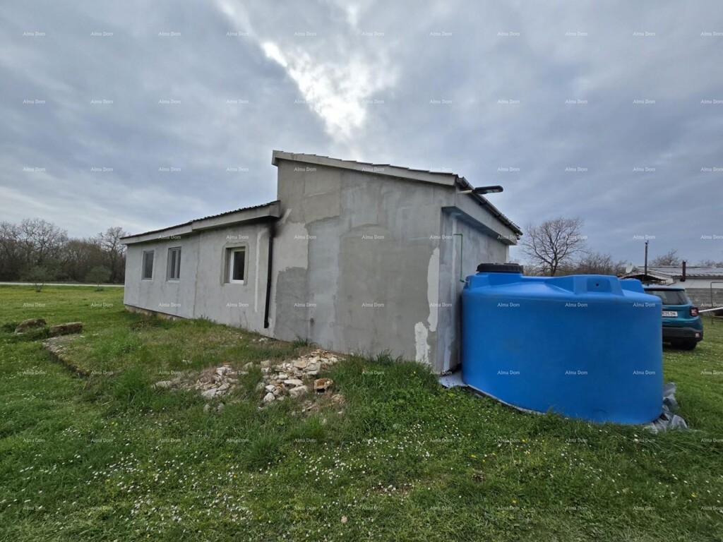 Image 6322488 - 12