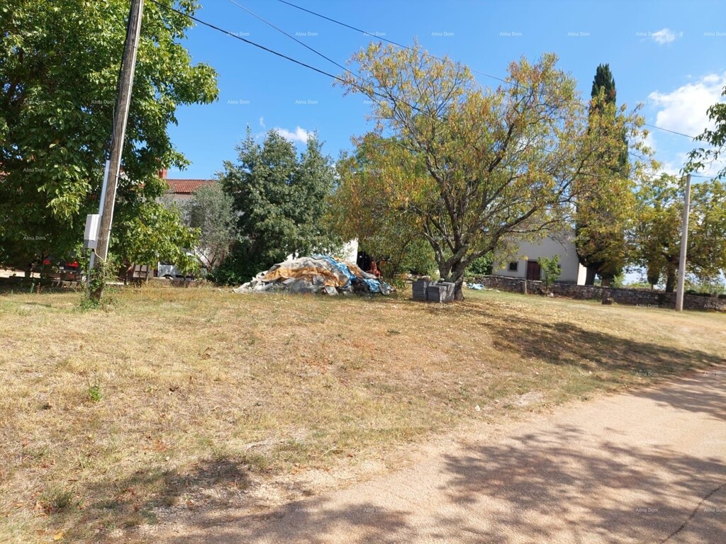 Image 6322490 - 4