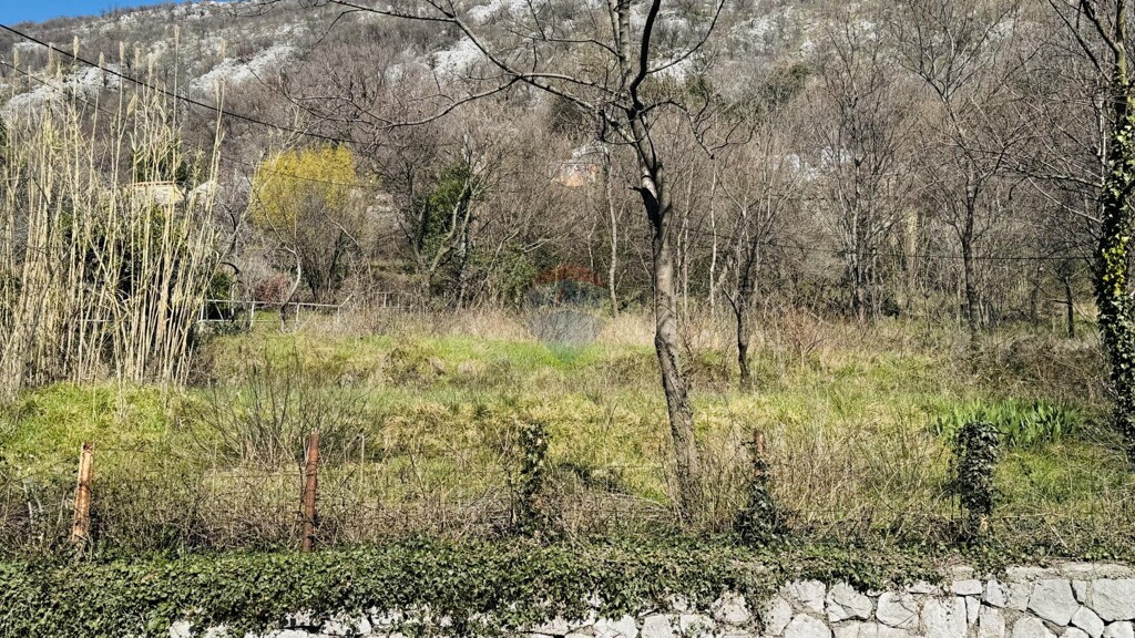 Image 6322735 - 4
