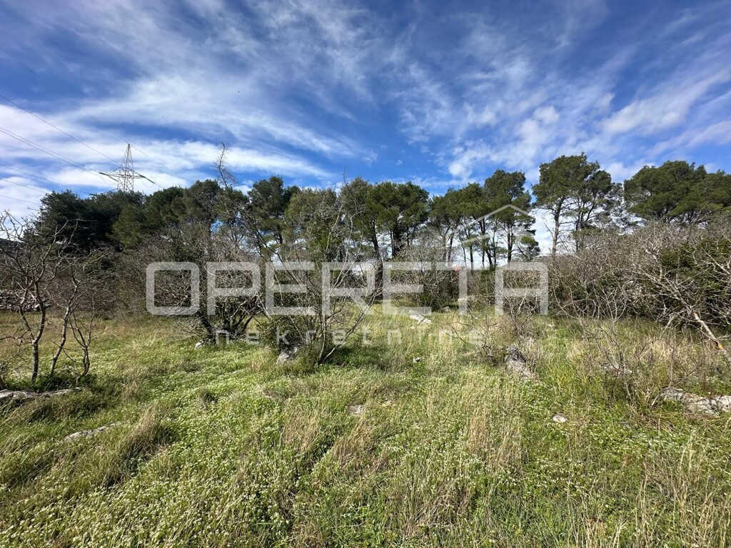 Image 6323045 - 6
