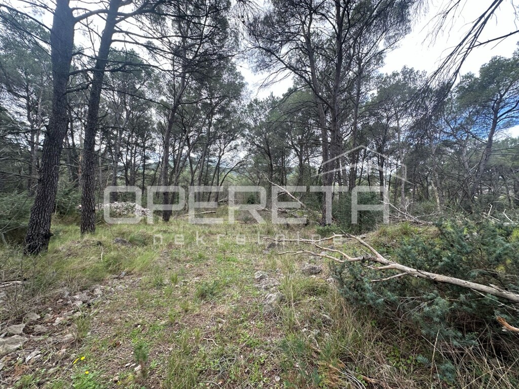 Image 6323047 - 2