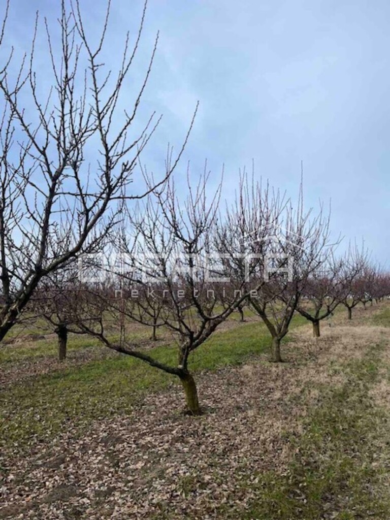 Image 6323064 - 5