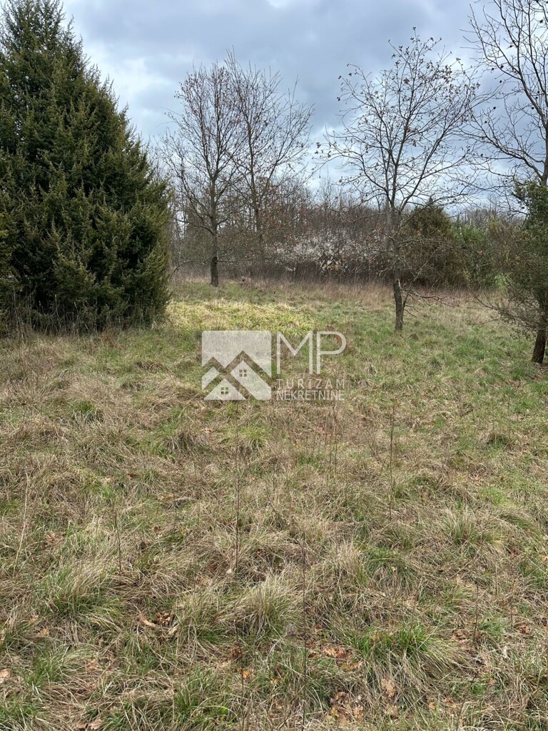 Image 6323072 - 3
