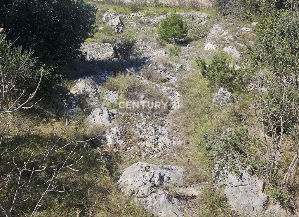 Image 6323083 - 3