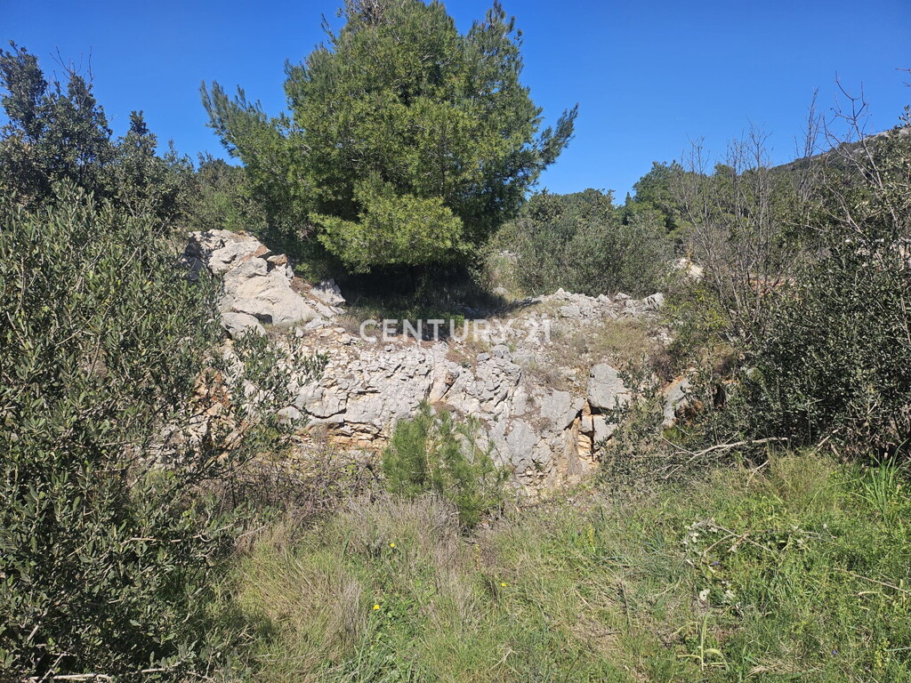 Image 6323083 - 2