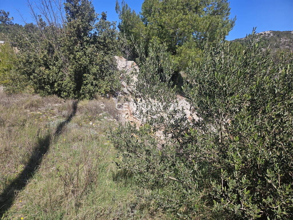 Image 6323083 - 6