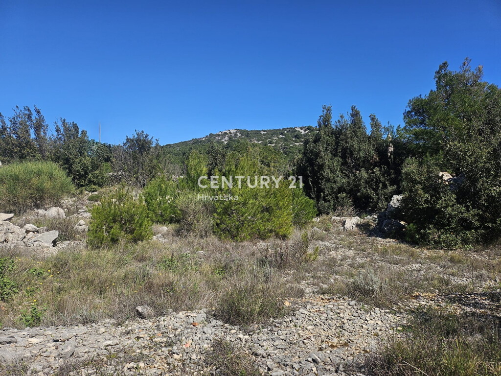 Image 6323083 - 1