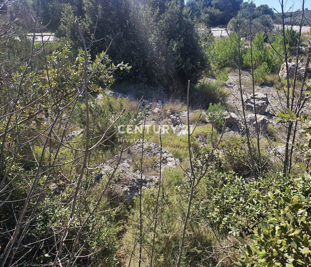 Image 6323083 - 4