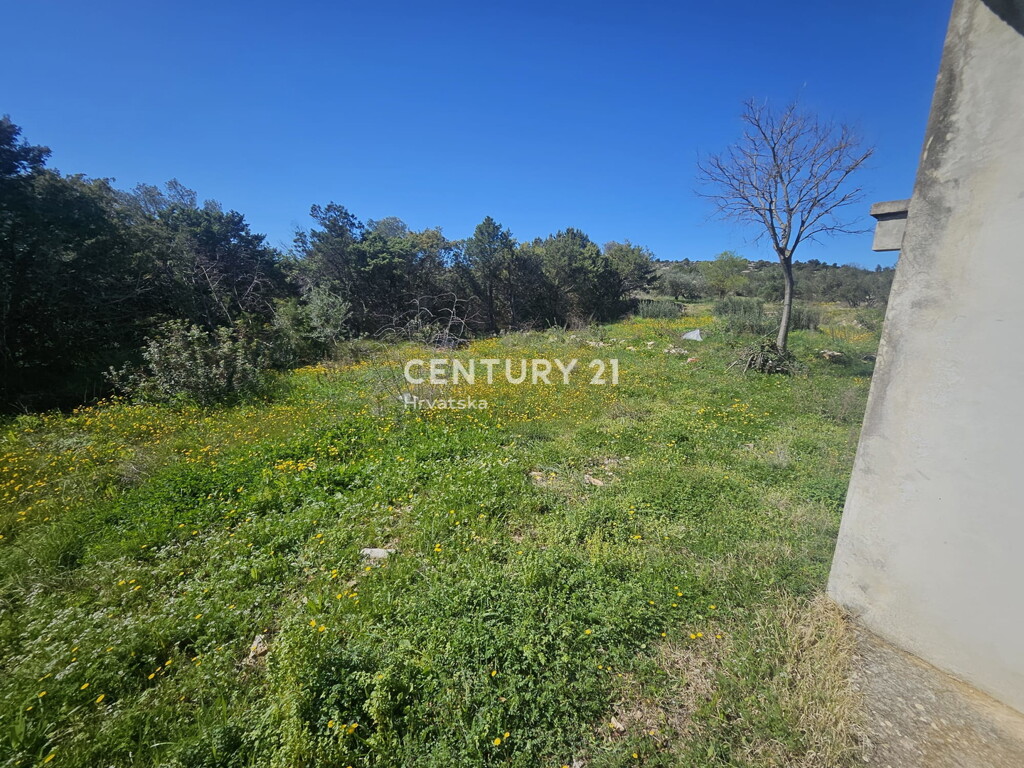 Image 6323084 - 9