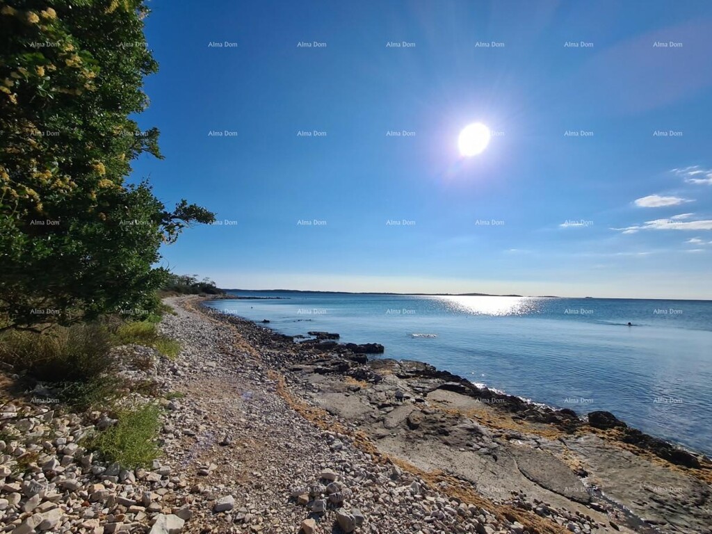 Image 6323087 - 2