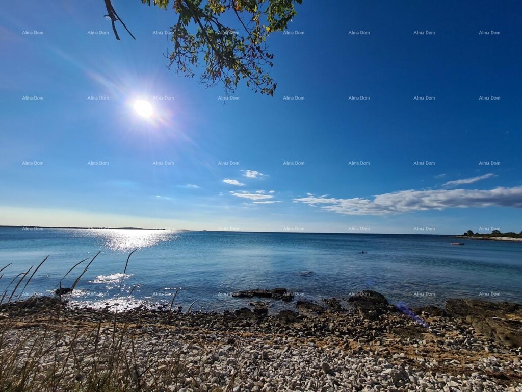 Image 6323087 - 3