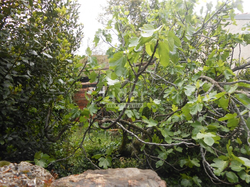 Image 6323226 - 9