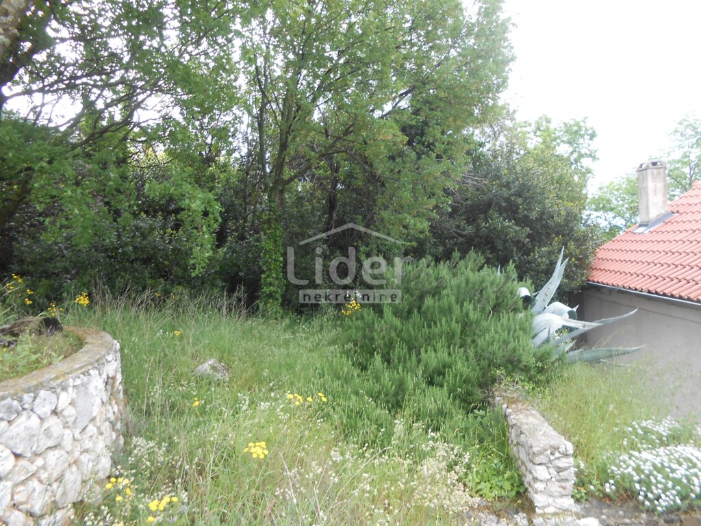 Image 6323226 - 10