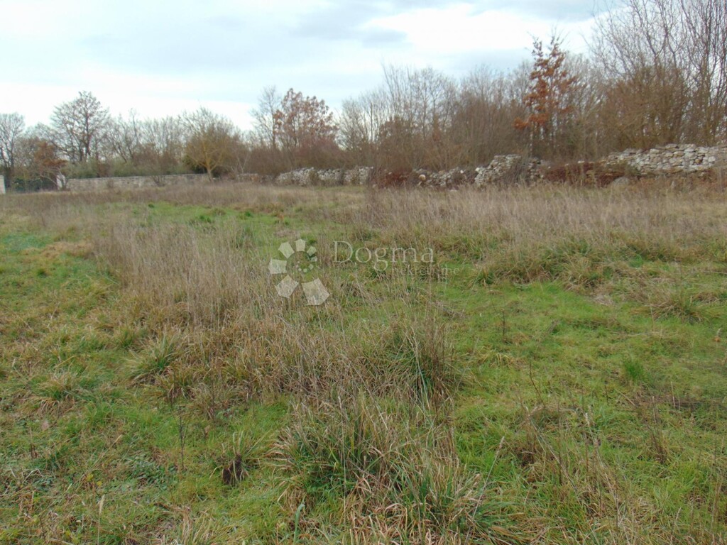 Image 6323234 - 1