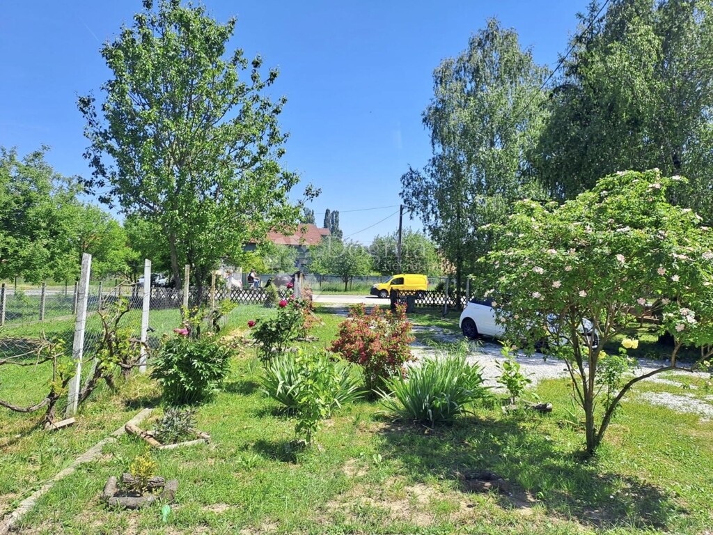 Image 6323251 - 13
