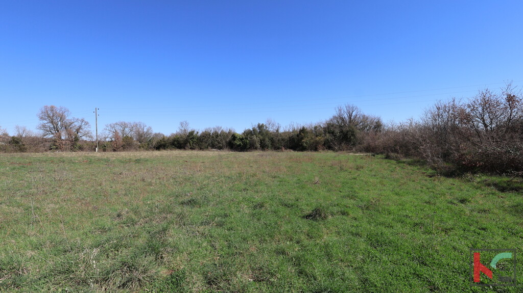 Image 6323277 - 3