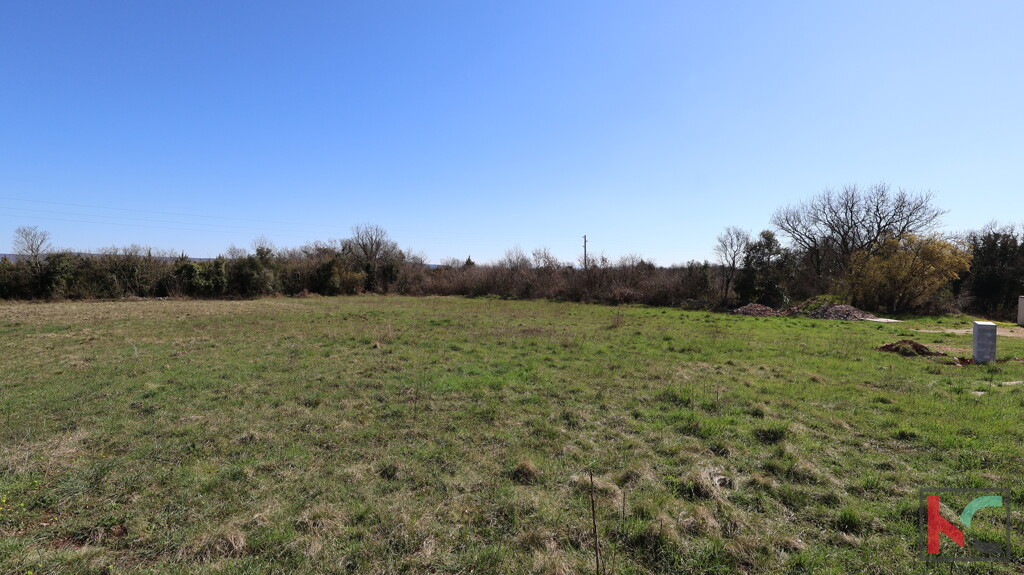 Image 6323277 - 1