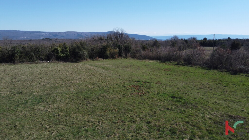 Image 6323277 - 2