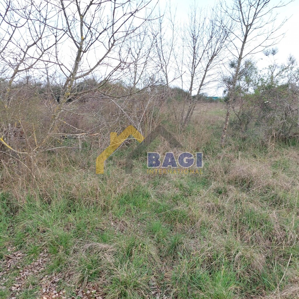 Image 6323279 - 3