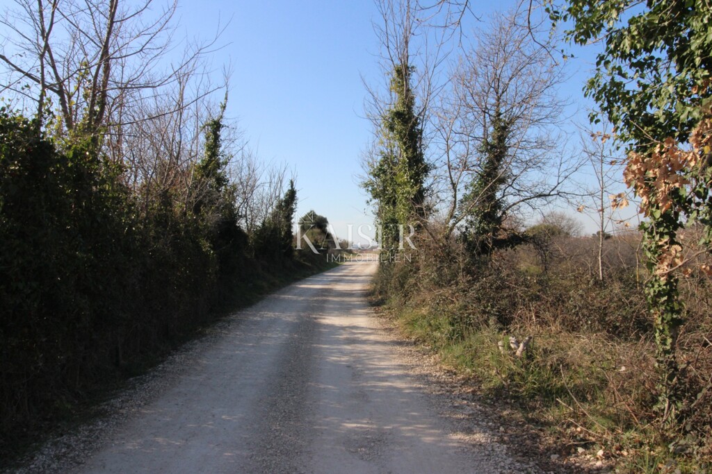 Image 6323340 - 9