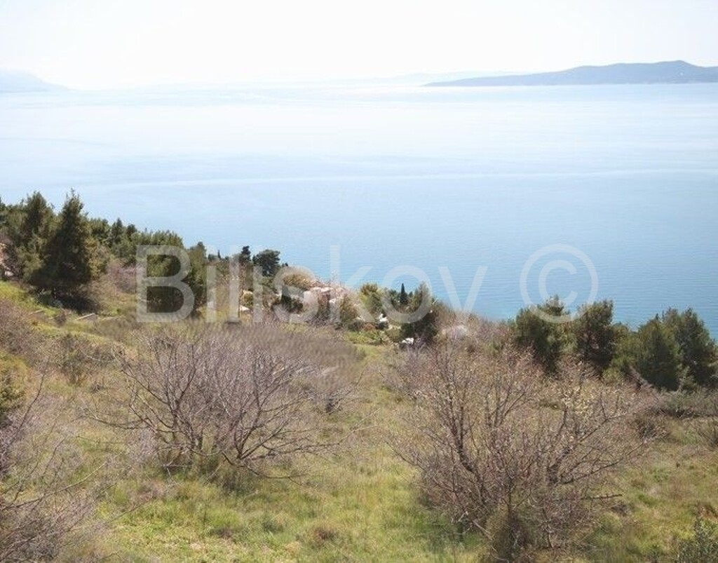 Image 6323367 - 1