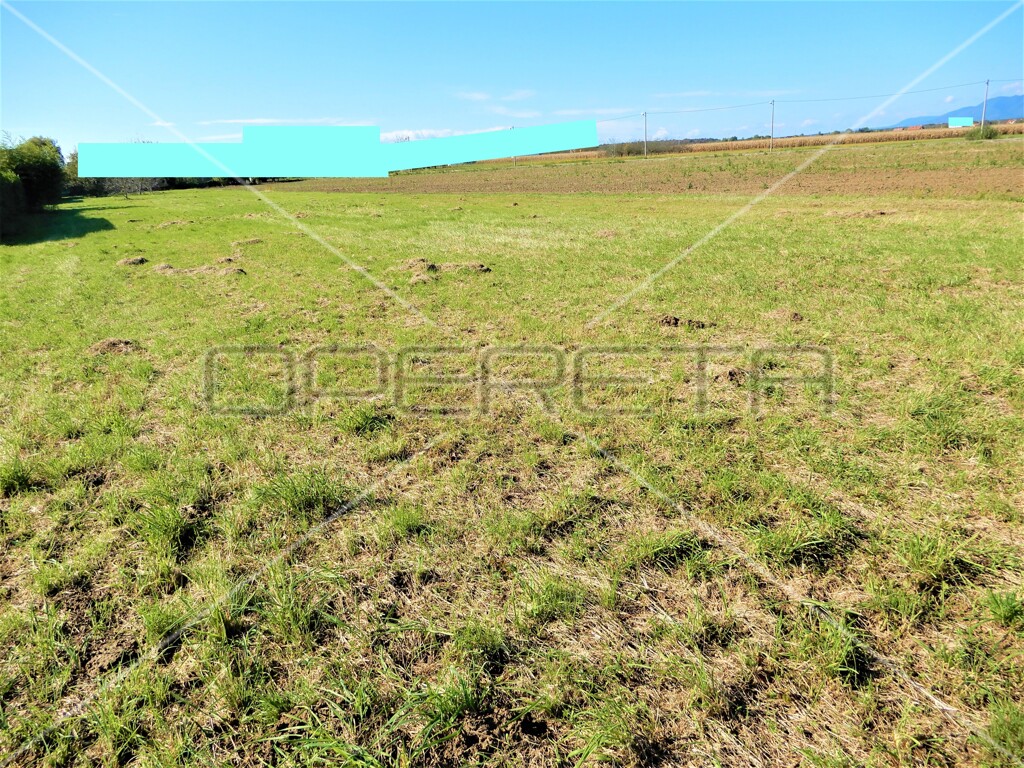 Image 6323661 - 1