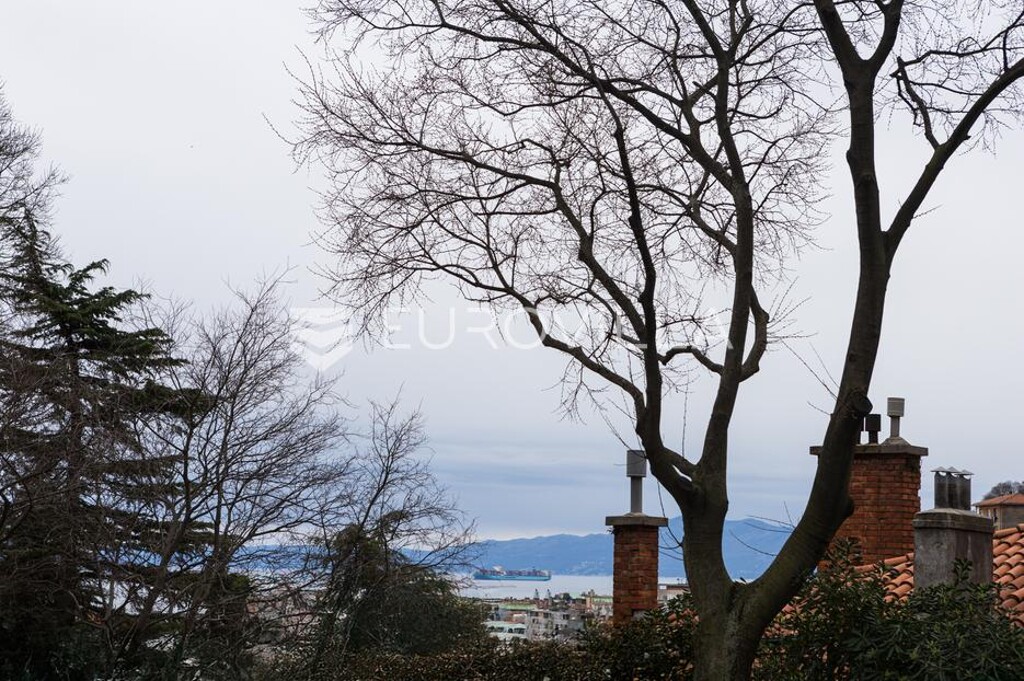 Image 6323753 - 20