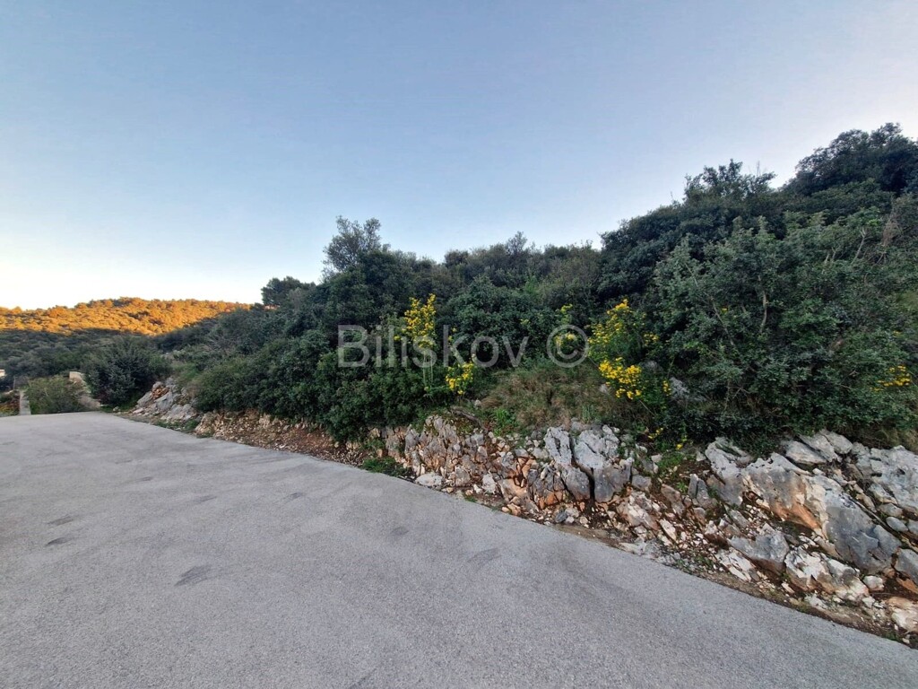 Image 6323820 - 2
