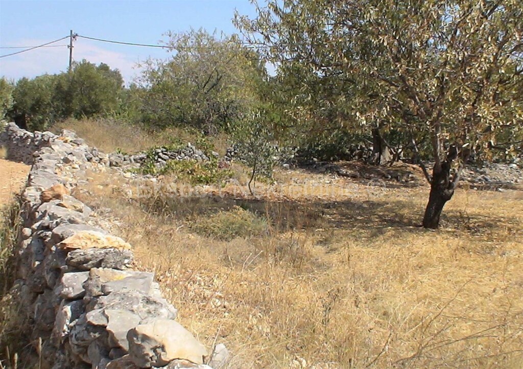 Image 6323823 - 1