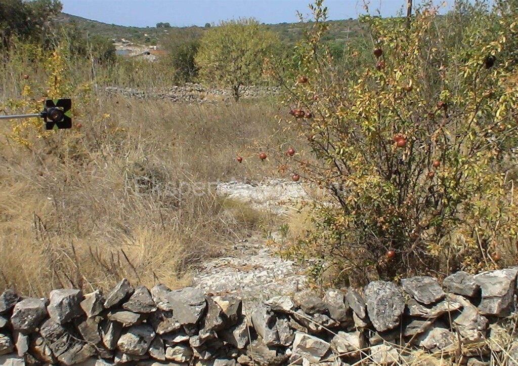 Image 6323823 - 3