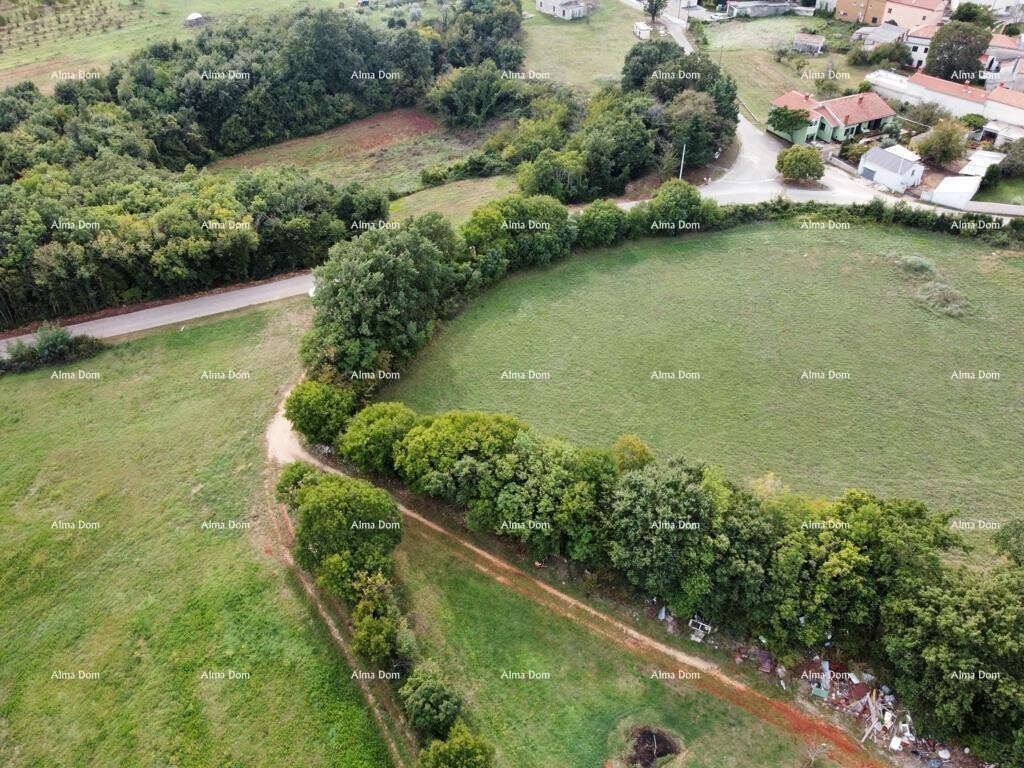 Image 6323830 - 4