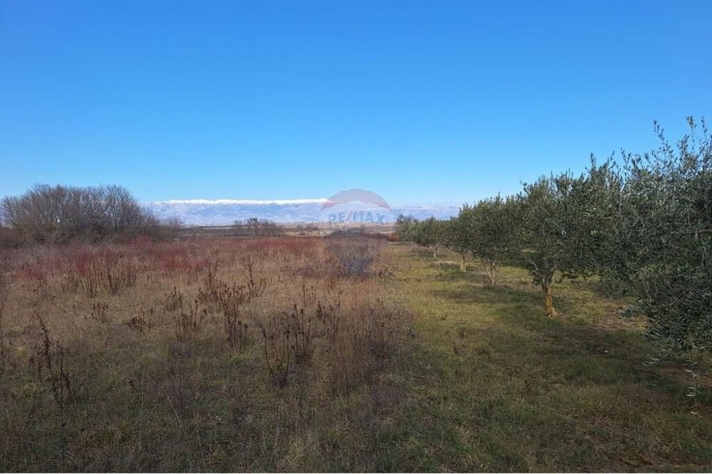 Image 6323858 - 10