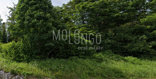 GORSKI KOTAR, DELNICE građevinsko zemljište 1254m2