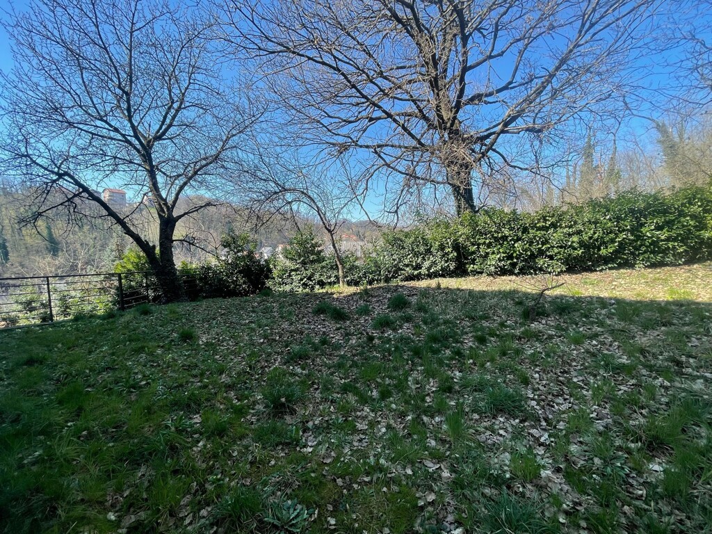 Image 6323882 - 26