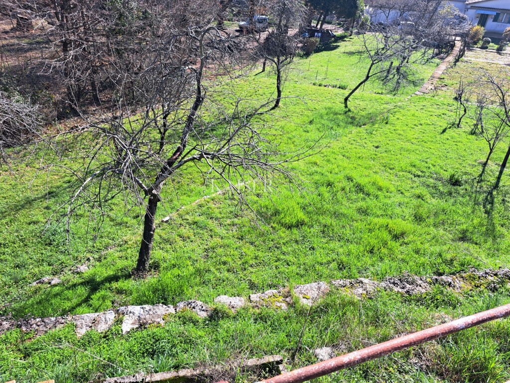 Image 6323899 - 4