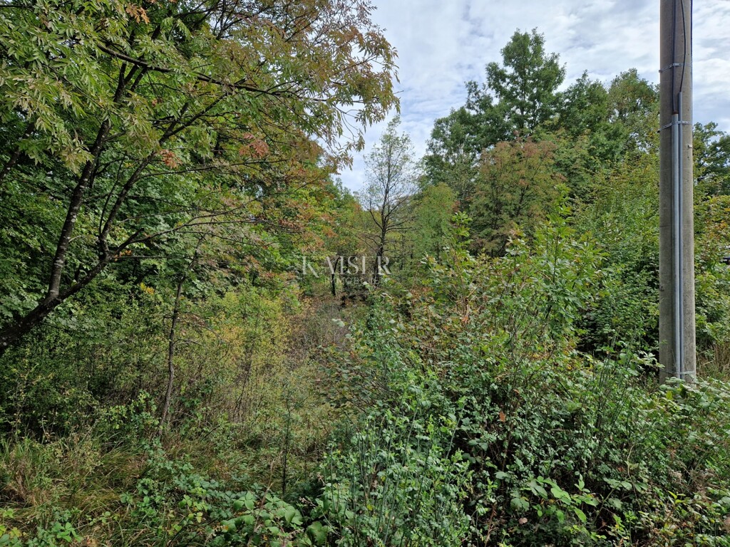 Image 6323902 - 2