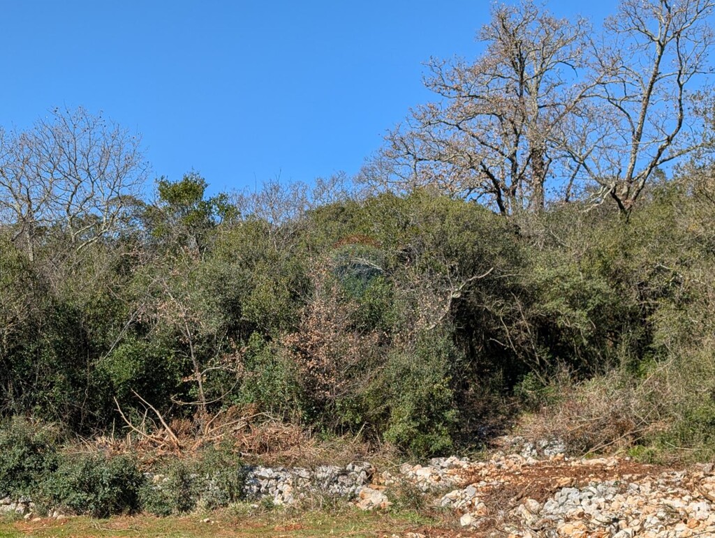 Image 6323943 - 4
