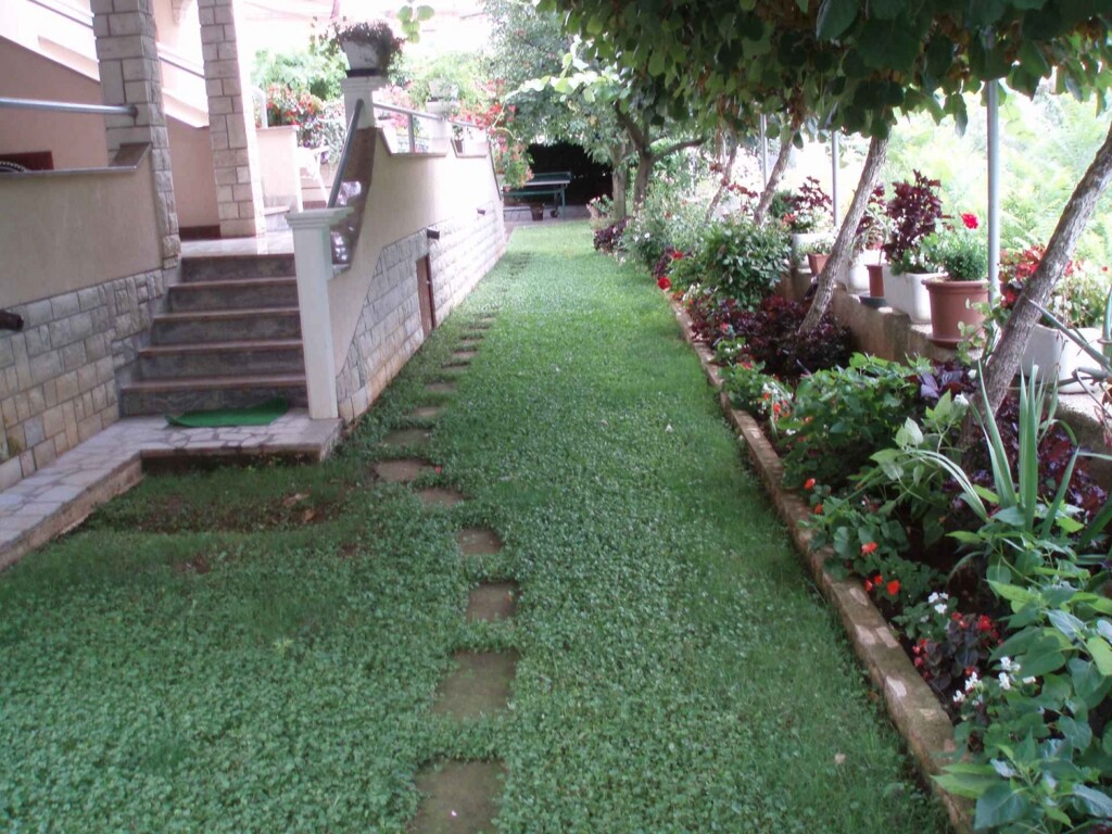 Image 6323959 - 6